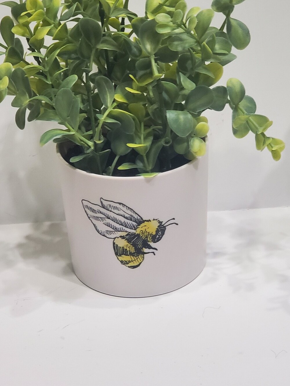 Light Up Plant - Picture 16 of 16